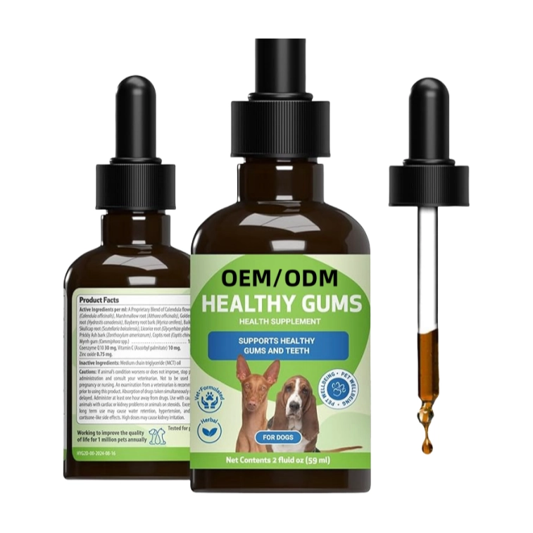 Gum & Teeth Liquid Supplement for Pets