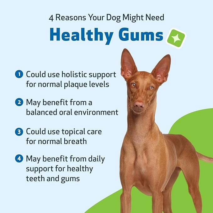 Gum & Teeth Liquid Supplement for Pets - view 4