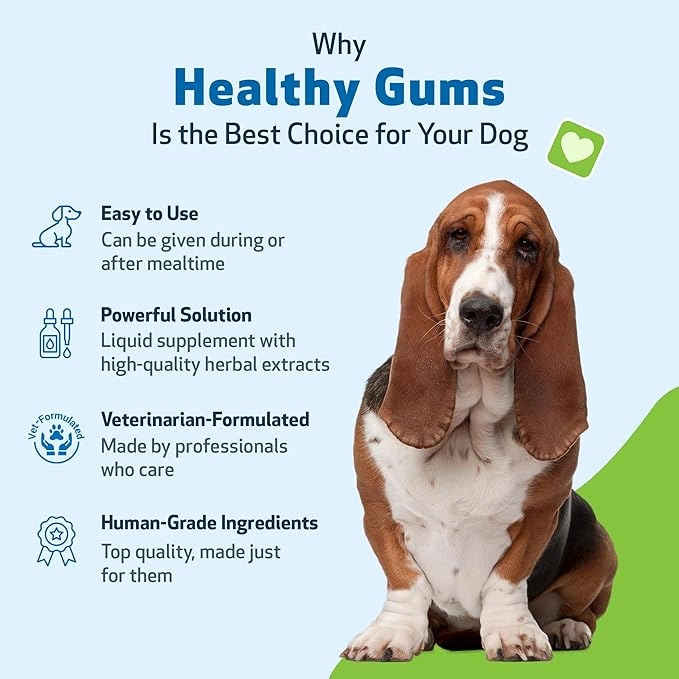 Gum & Teeth Liquid Supplement for Pets - view 5