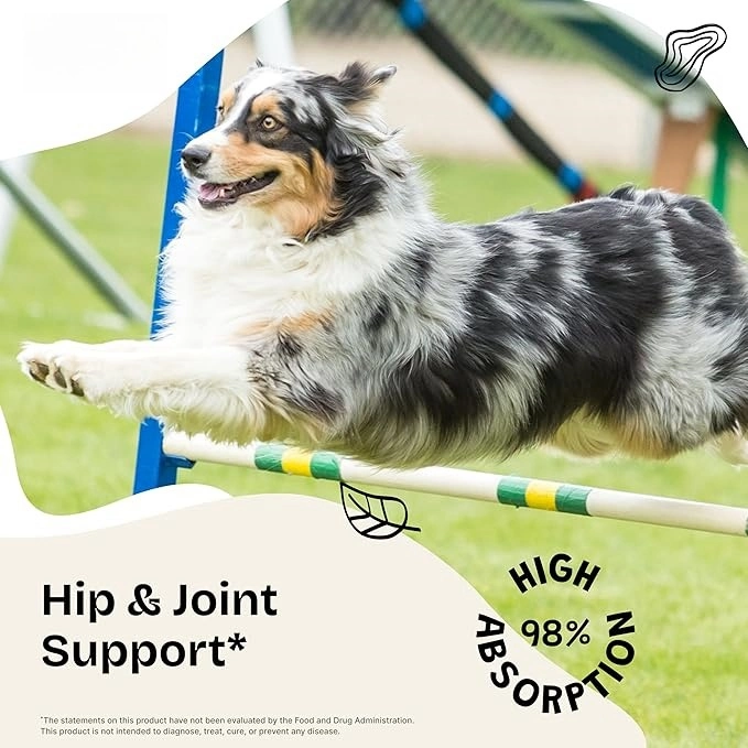Hip & Joint Liquid Supplement for Pets - view 2