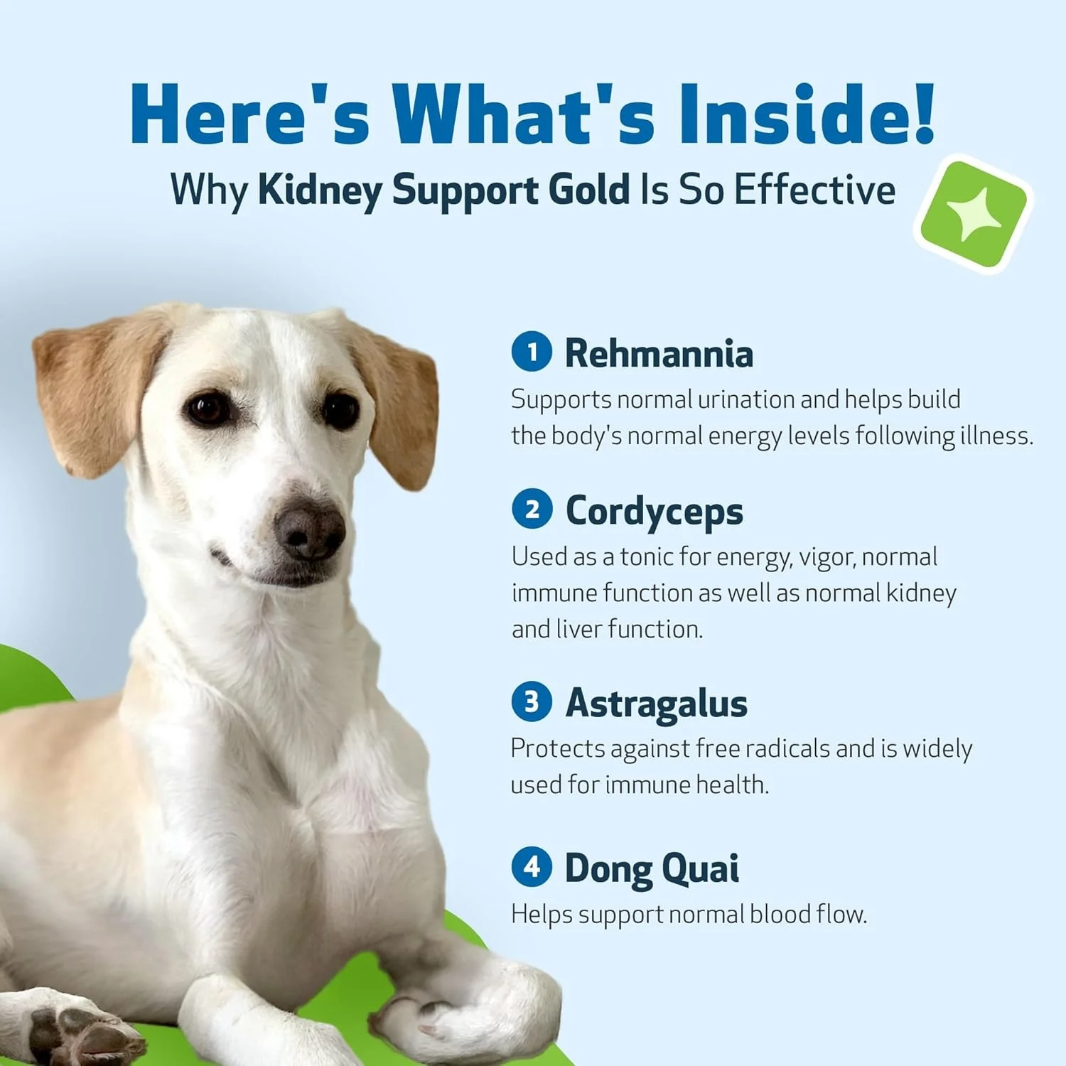 Kidney Support Liquid Supplement for Pets - view 3