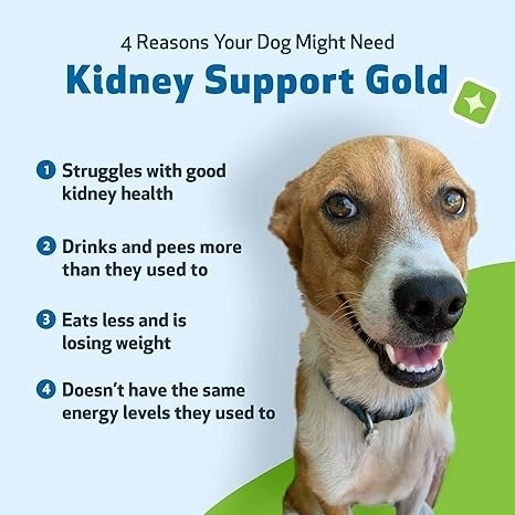 Kidney Support Liquid Supplement for Pets - view 4
