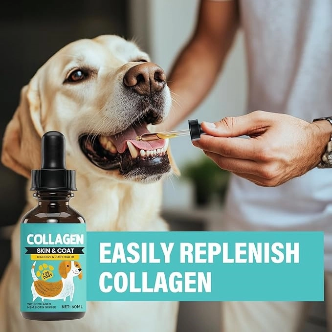 Skin & Coat Liquid Supplement for Pets - view 3