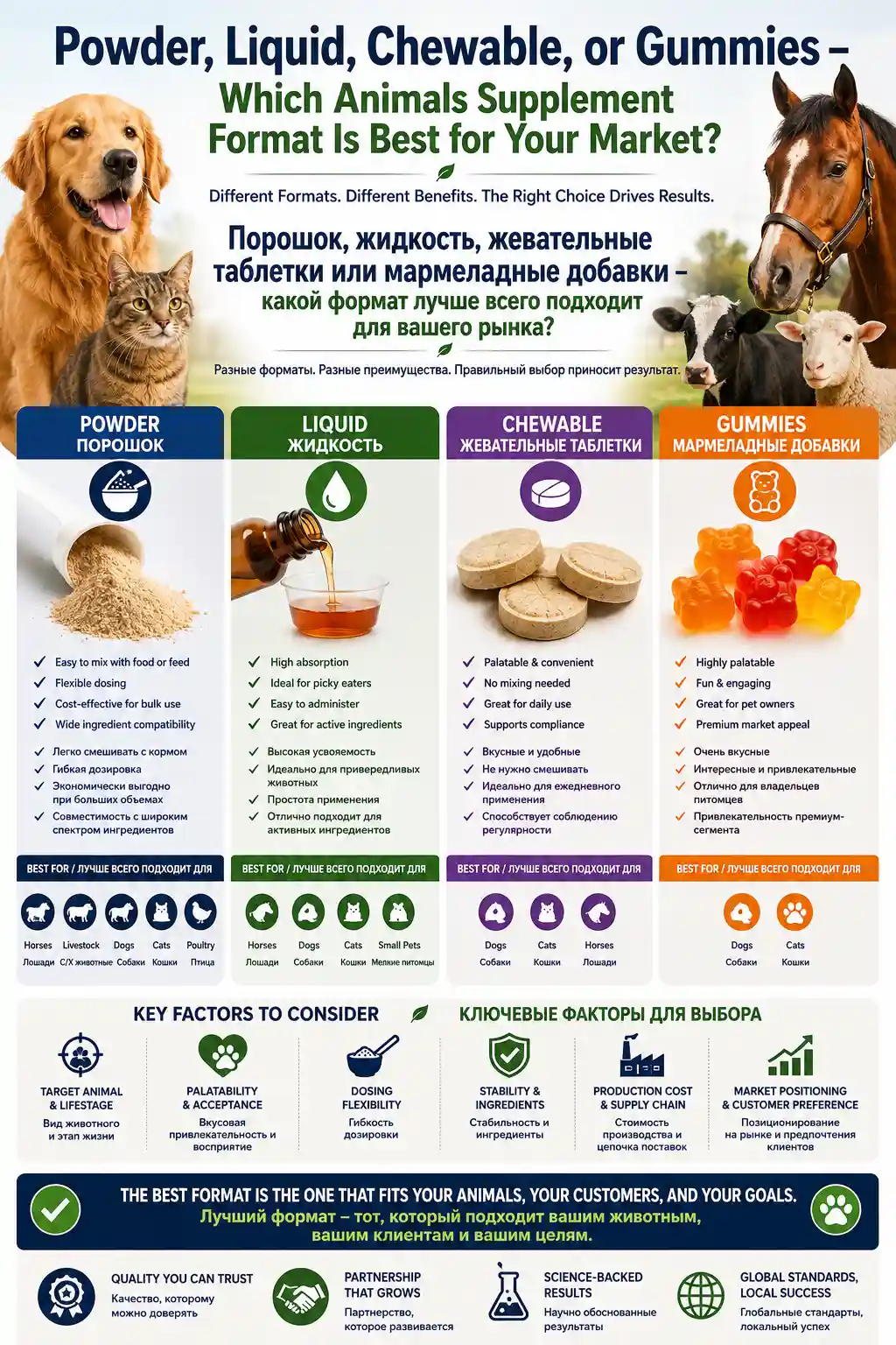 Powder, Liquid, Chewable, or Gummies: Which Animals Supplement Format Is Best for Your Market?