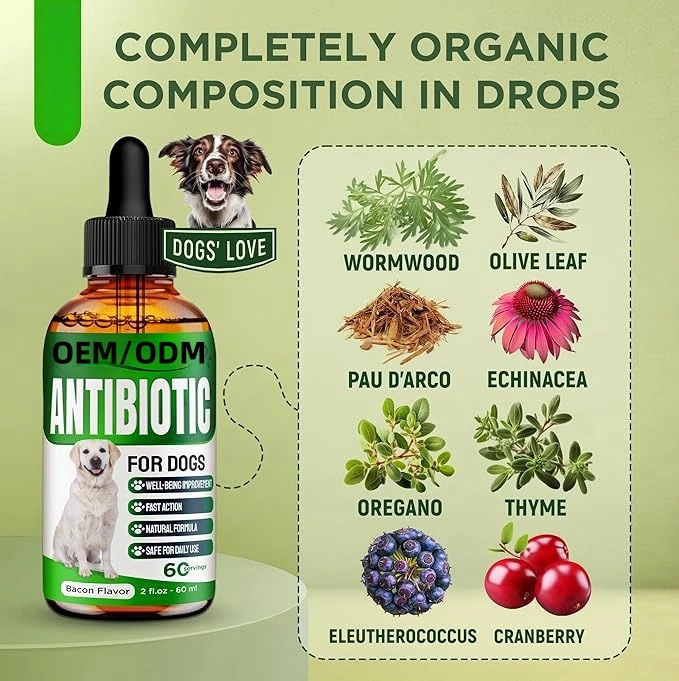 Natural Antibiotic Support Liquid Drops for Dogs & Cats 4