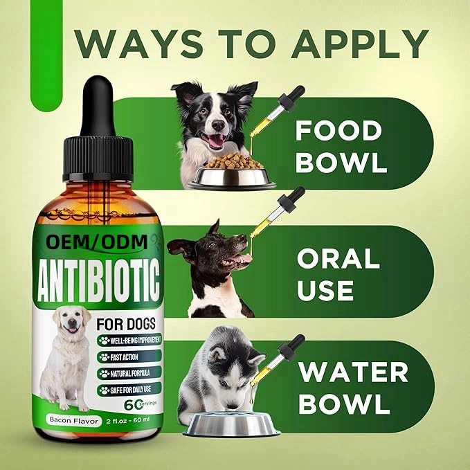 Natural Antibiotic Support Liquid Drops for Dogs & Cats 5