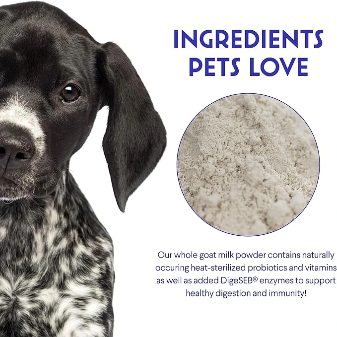 Goat's Milk Powder for Dogs & Cats 2