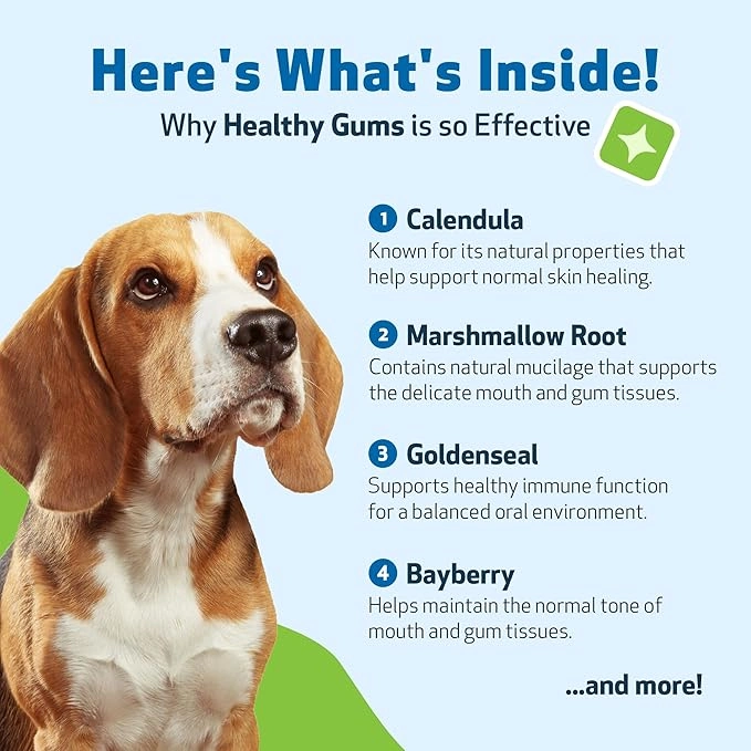 Gum & Teeth Care Liquid Drops for Dogs & Cats 3