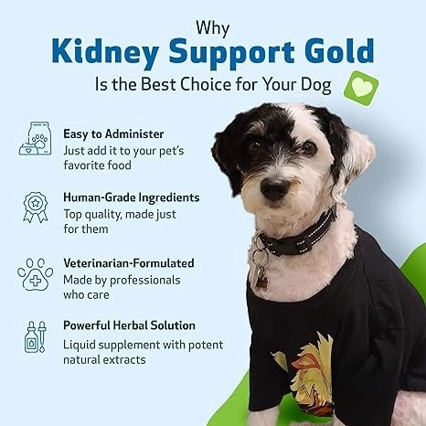 Kidney Support Liquid Drops for Dogs & Cats 2