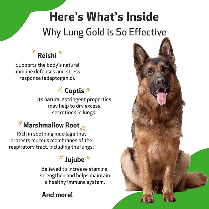 Lung & Respiratory Liquid Drops for Dogs & Cats 2