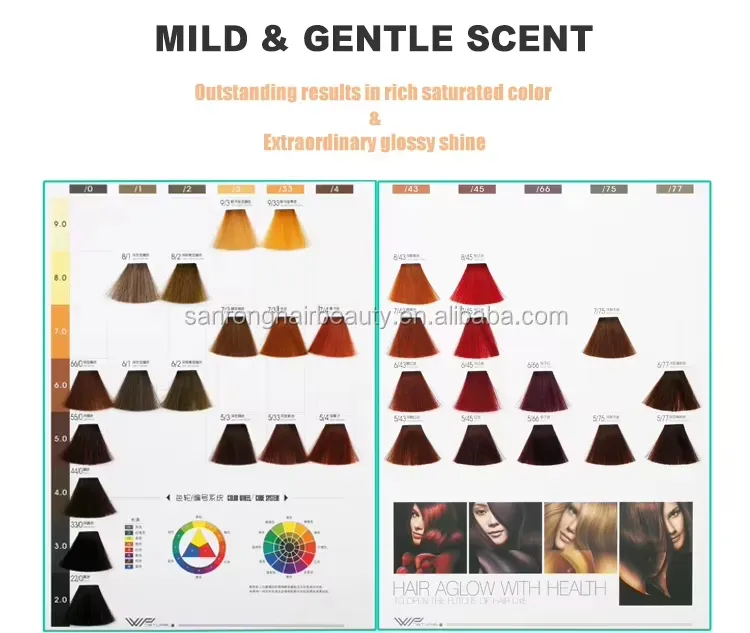 Factory OEM/ODM Italian Professional Permanent Hair Color – Organic Salon-Grade Coloring Cream - Image 3
