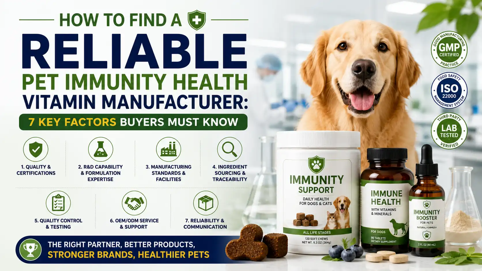 How to Find a Reliable Pet Immunity Health Vitamin Manufacturer: 7 Key Factors Buyers Must Know