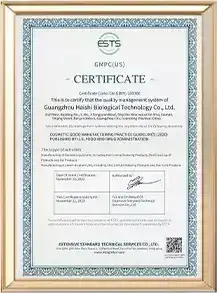 GMP Certification