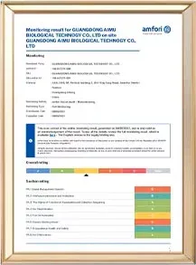 BSCI — Social Compliance Auditing at C-Beauty Industry cosmetics manufacturer